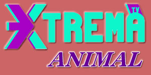 Xtrema Animal