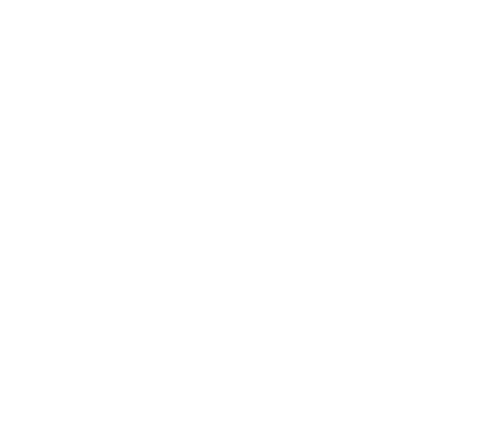Wu Tang Collection