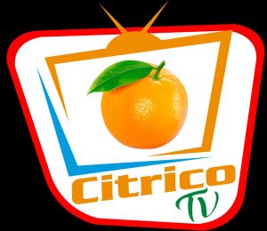 Citrico TV