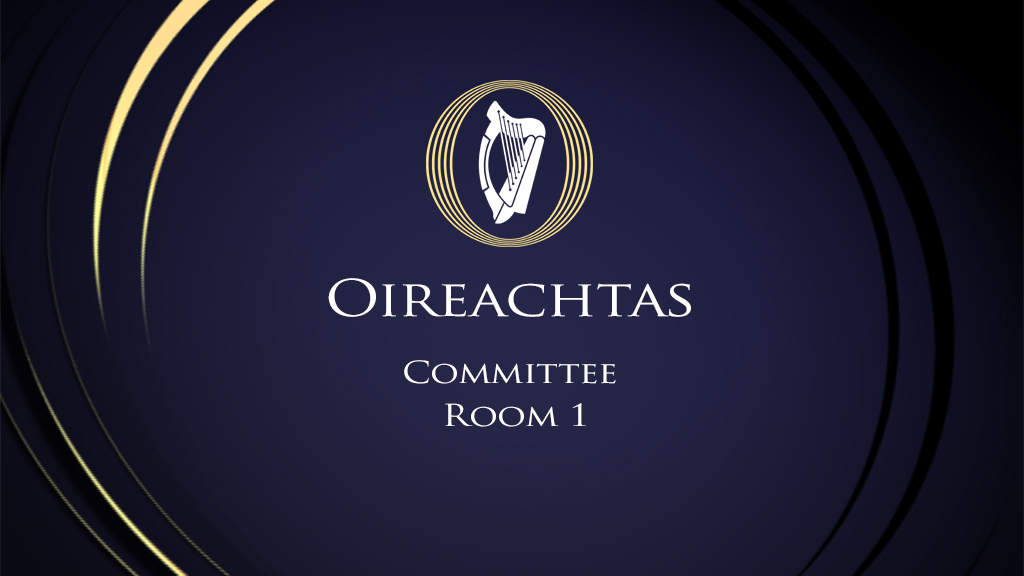 Oireachtas TV Committee Room 1
