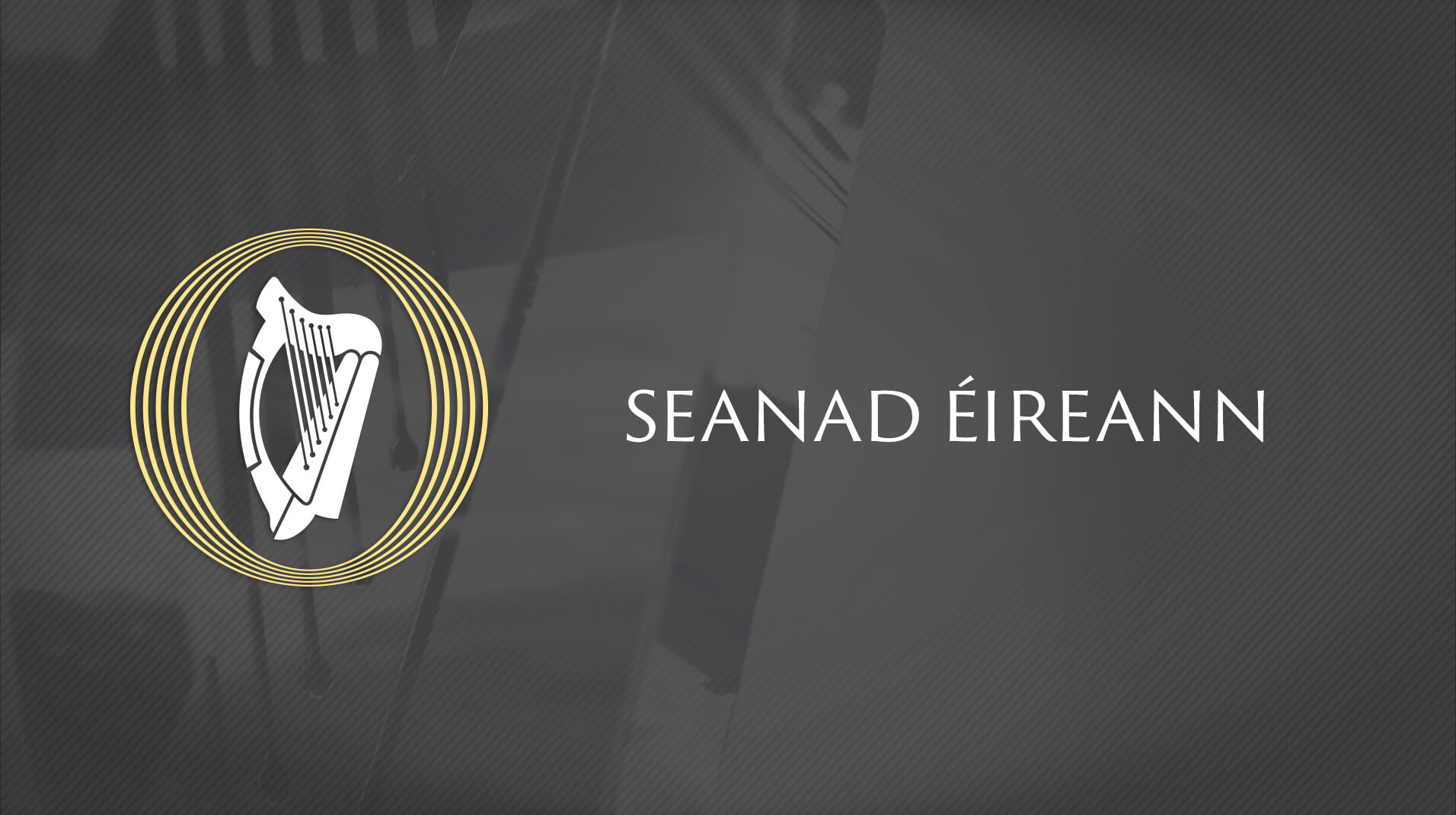 Oireachtas TV Seanad Eireann