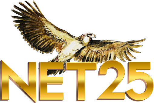Net 25