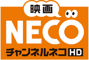 Channel Neco