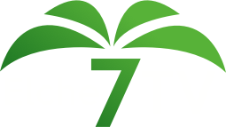 Elche 7 TV